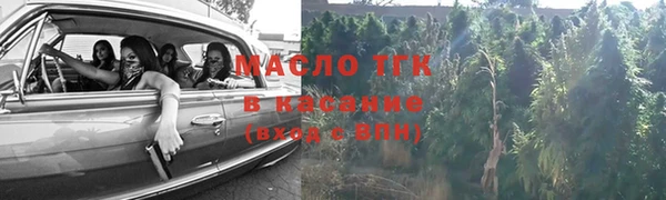 индика Вяземский