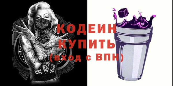 индика Вяземский
