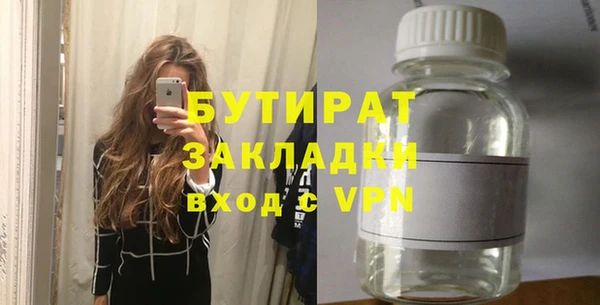 индика Вяземский