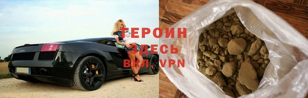индика Вяземский