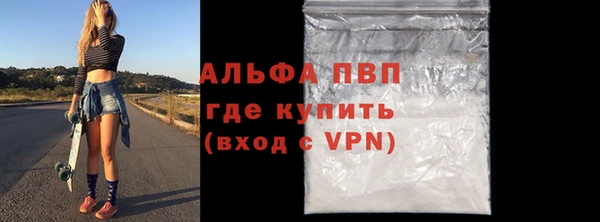 индика Вяземский