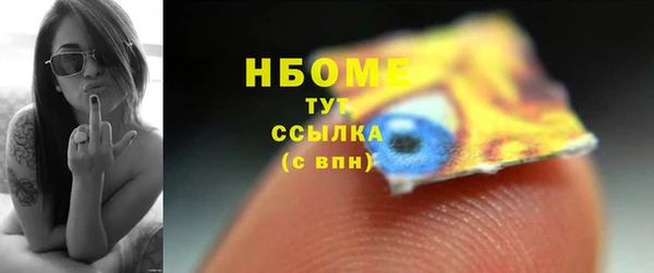 индика Вяземский