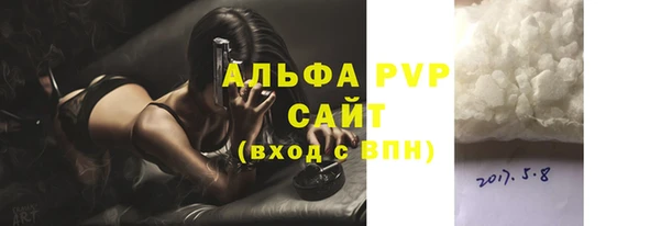 индика Вяземский