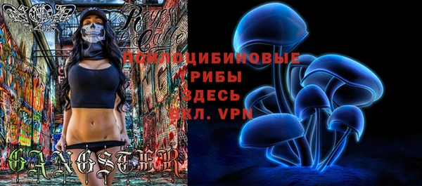 индика Вяземский