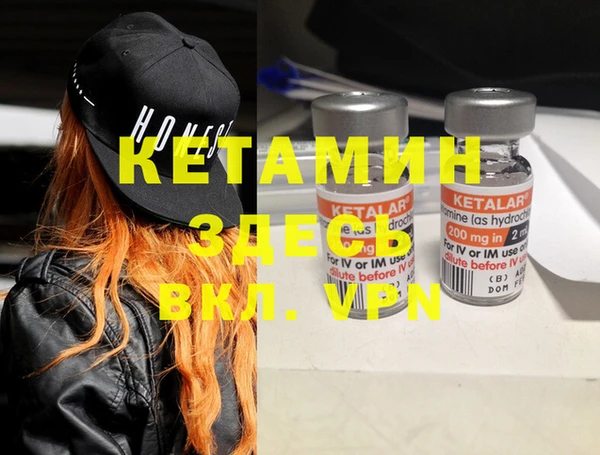 индика Вяземский