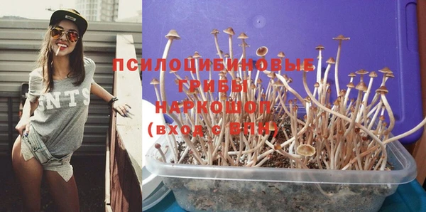 индика Вяземский