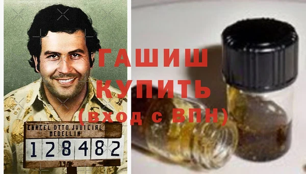 индика Вяземский