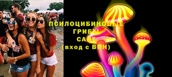 индика Вяземский
