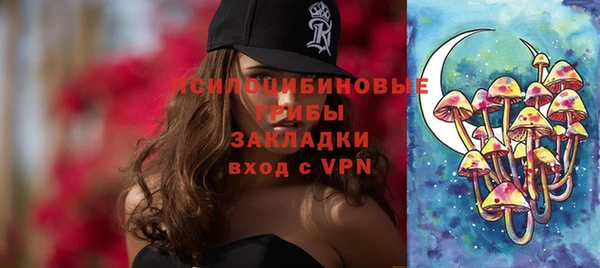 хмурый Вязьма