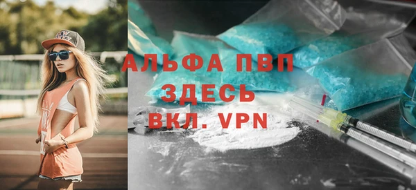 индика Вяземский